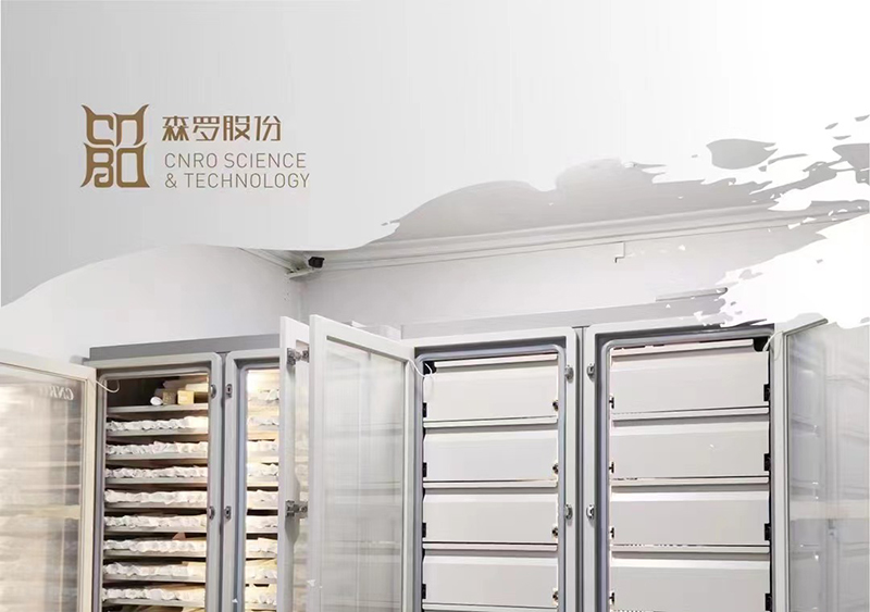 《森羅萬象》<div   id=