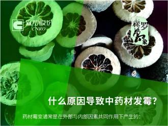 《森羅萬象》，萬象包羅 第4問