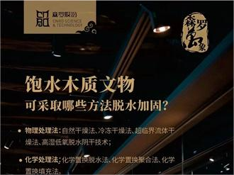 《森羅萬象》<div   id=