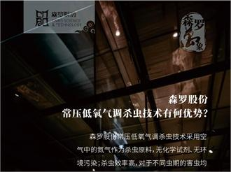 《森羅萬象》<div   id=