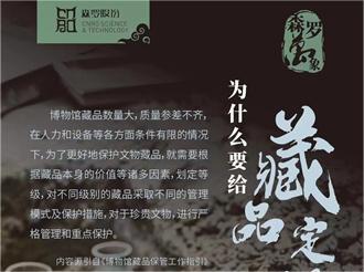 《森羅萬象》<div   id=